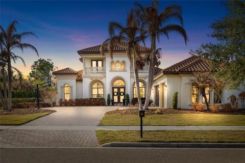 Photo of 16406 Chapman Crossing Drive, Lithia, FL 33547 (MLS # TB8479120)