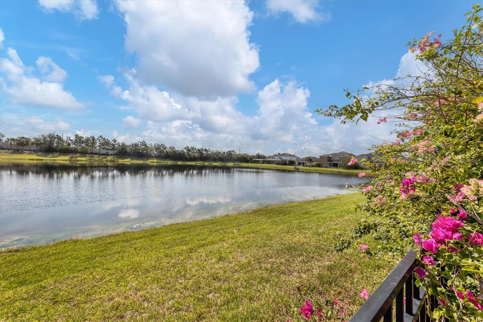 ARBOR LAKES ON PALMER RANCH - Residential