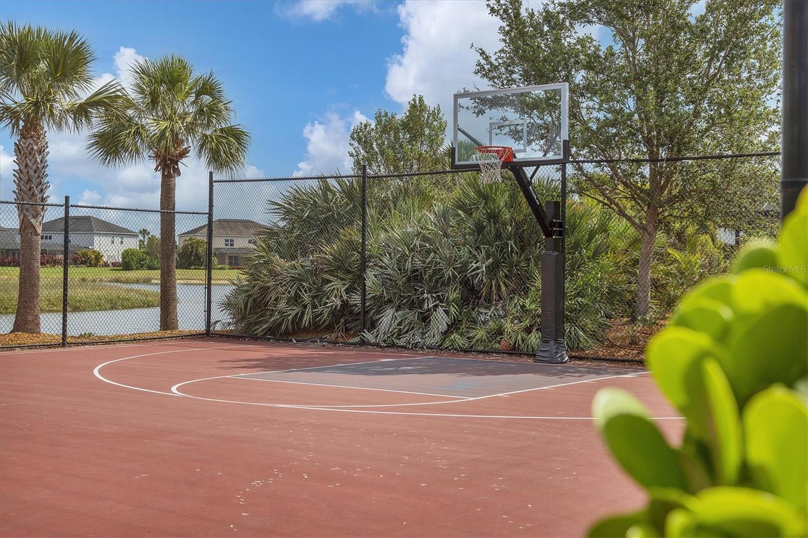 ARBOR LAKES ON PALMER RANCH - Residential