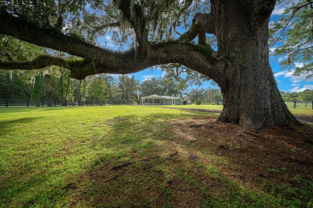 Photo of 10025 NW 28th Place, Ocala, FL 34482 (MLS # OM716431)