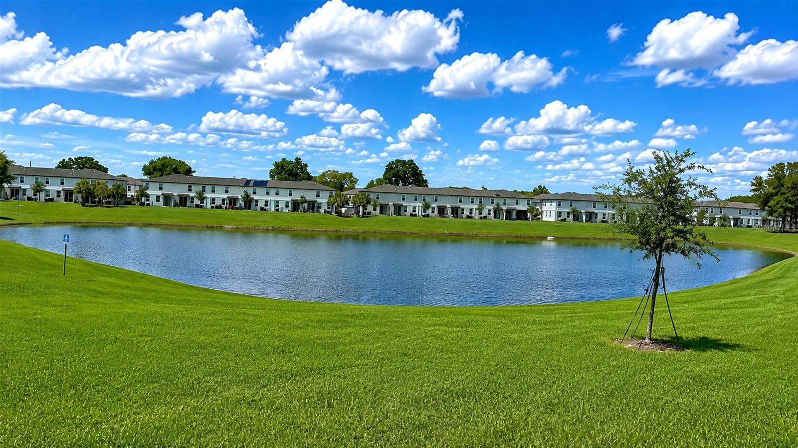2518 SWEET VIBURNUM WAY