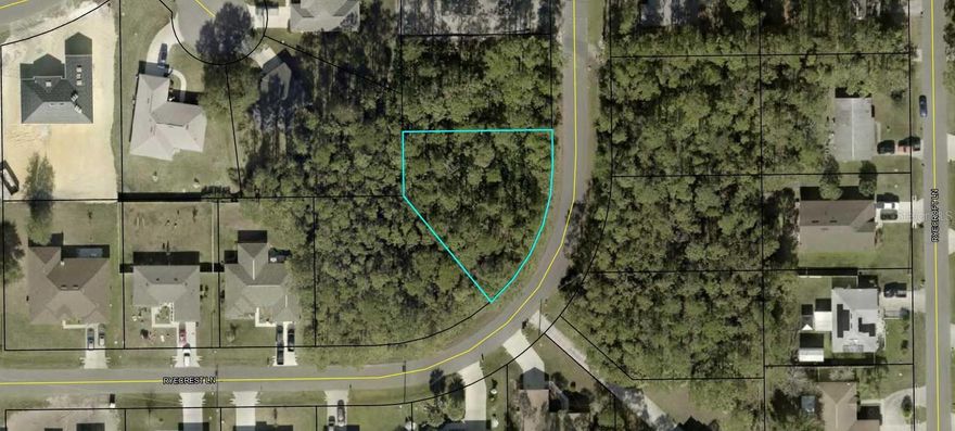 Oversized lot centrally located in Palm Coast close to schools, shopping, medical, restaurants and banks. 3 miles to Rymfire Elementary; 2.6 miles to Buddy Taylor Middle School and 3.7 to Flagler Palm Coast High School. 4.4 miles to Advent Health Hospital. Quick access to I-95 or US-1 for an easy commute North to Jacksonville  or South to Ormond and Daytona Beach. And last but not least the Atlantic Beaches are only 8.1 miles away. Do not miss this opportunity.