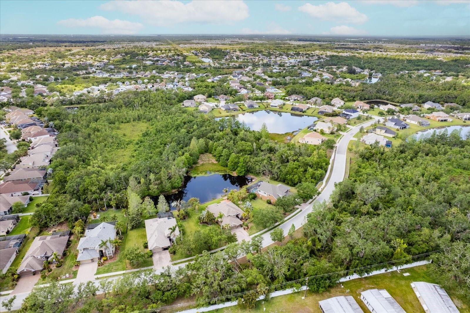 OAKLEAF HAMMOCK PH II - Residential