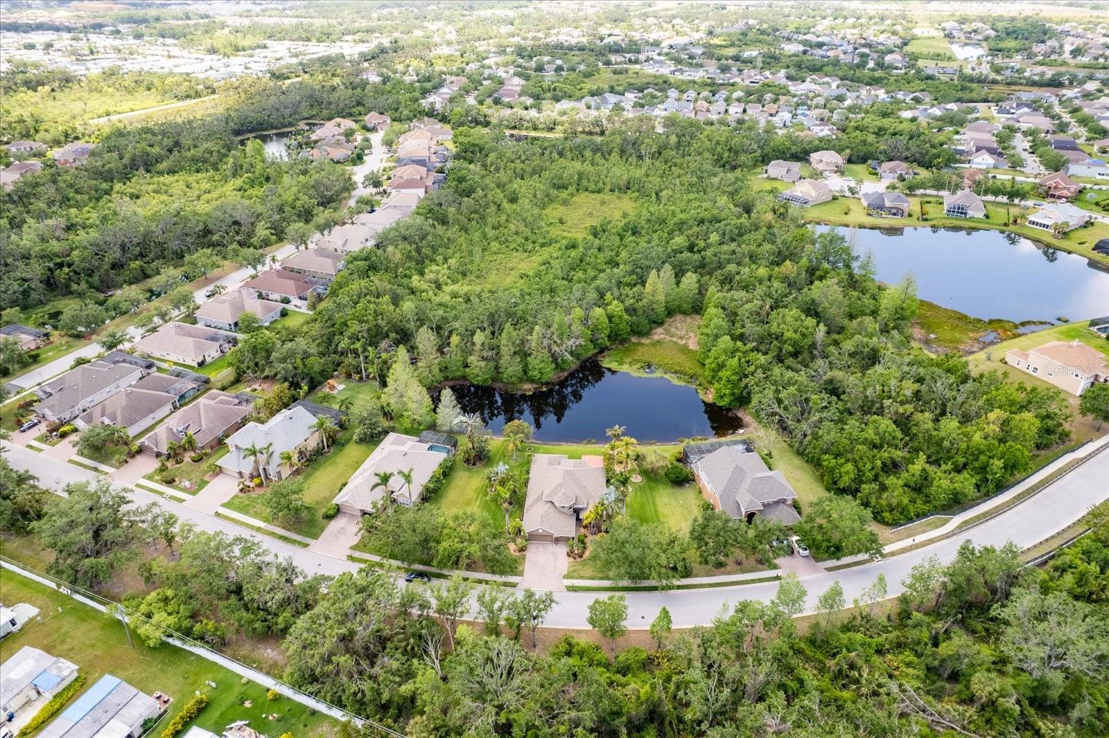 OAKLEAF HAMMOCK PH II - Residential