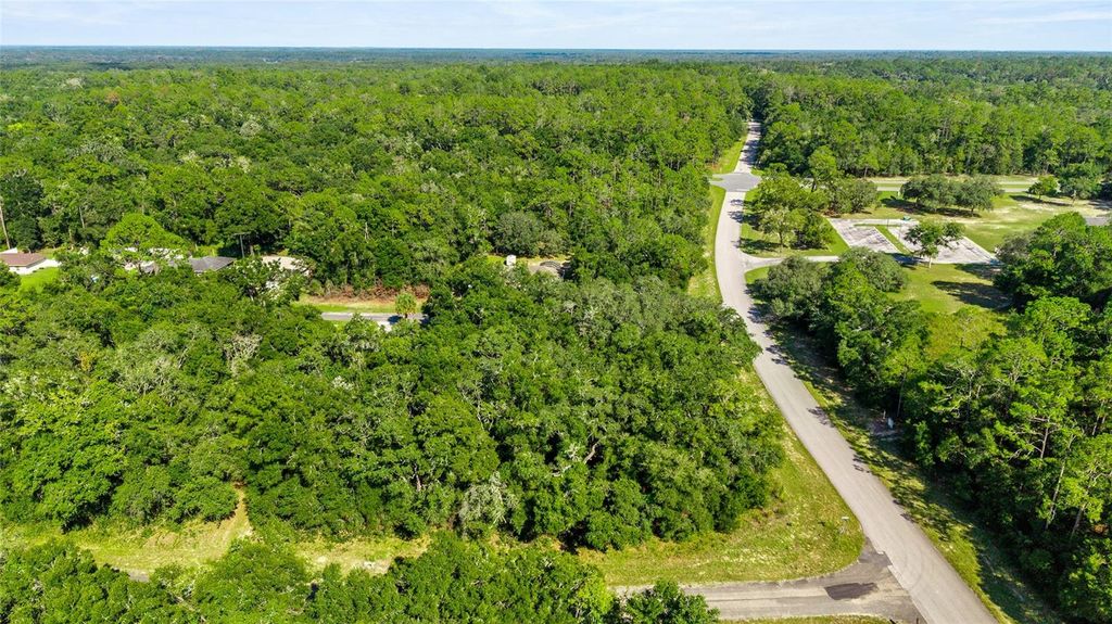 Photo of 11023 N Glenda Terrace, Dunnellon, FL 34434 (MLS # OM709562)