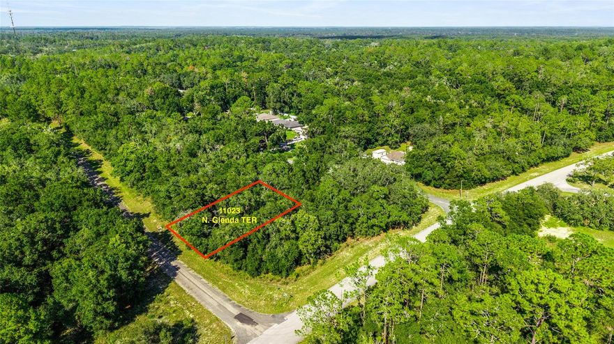 Buildable Parcel in Citrus Springs located near multiple recreational opportunities. Citrus Springs is Deed Restricted to protect your investment, but NO HOA and NO HOA FEES. This parcel is located at the north side of Citrus Springs with close proximity to Dunnellon, the Withlacoochee River, and the sparkling Rainbow River for kayaking, snorkeling, swimming, tubing, fishing and much more. If you enjoy hiking and biking - you'll be only only 2.9 miles from a trailhead for the 46-mile-long Withlacoochee State Trail - one of Florida's longest paved "rails to trails" and 1.7 miles from the Dunnellon Trailhead CR39.