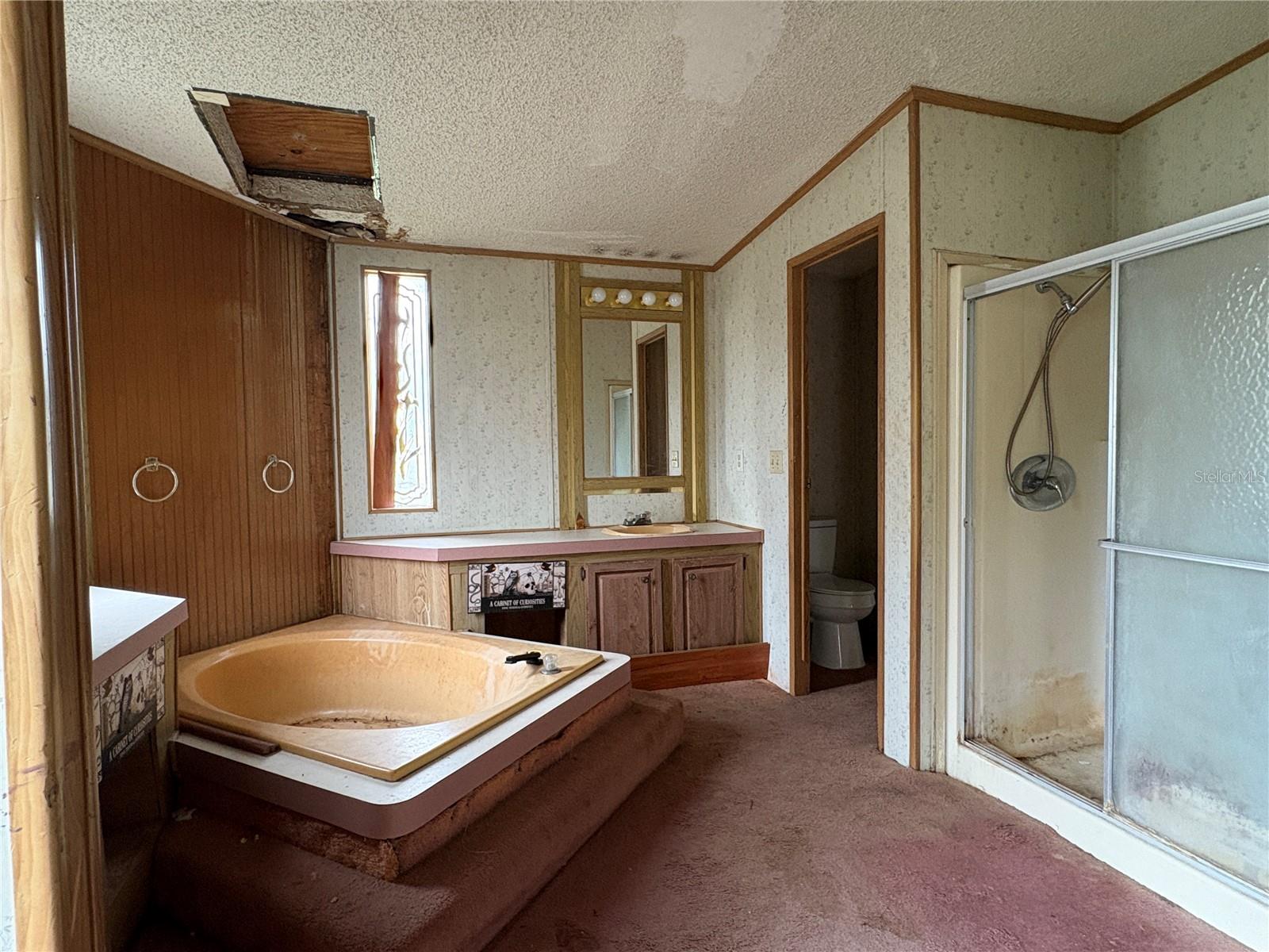 ALPINE SUB - Residential