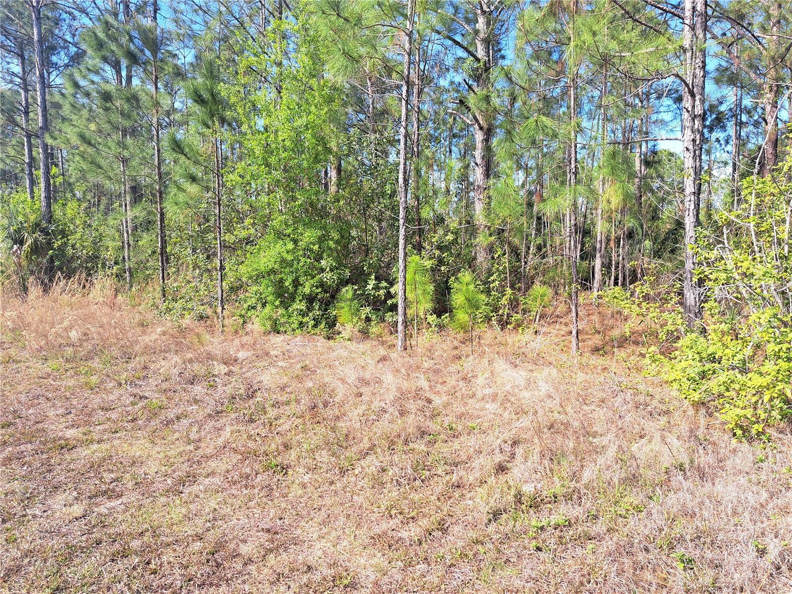 INDIAN LAKE ESTATES - Land