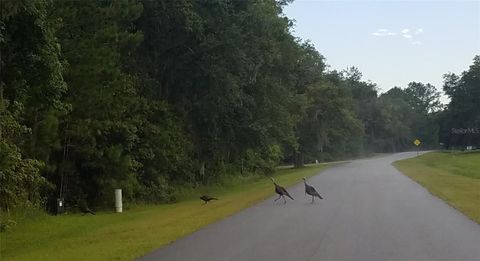 Tiny photo for Tbd NW 148 Lane, Williston, FL 32696 (MLS # OM715692)