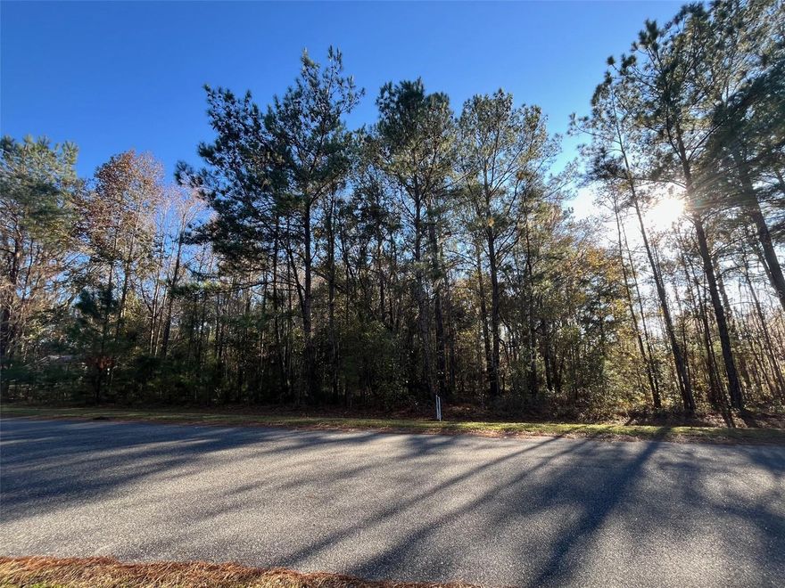 Build your dream home in The Village at Hidden Lakes located in NW Marion County.  This parcel is almost 4
acres set in a beautiful, gated equine community.  Surround yourself by nature and tranquility with miles of
riding trails. Conveniently located near Ocala, Gainesville, Williston, and 20 minutes to the World Equestrian
Center!
