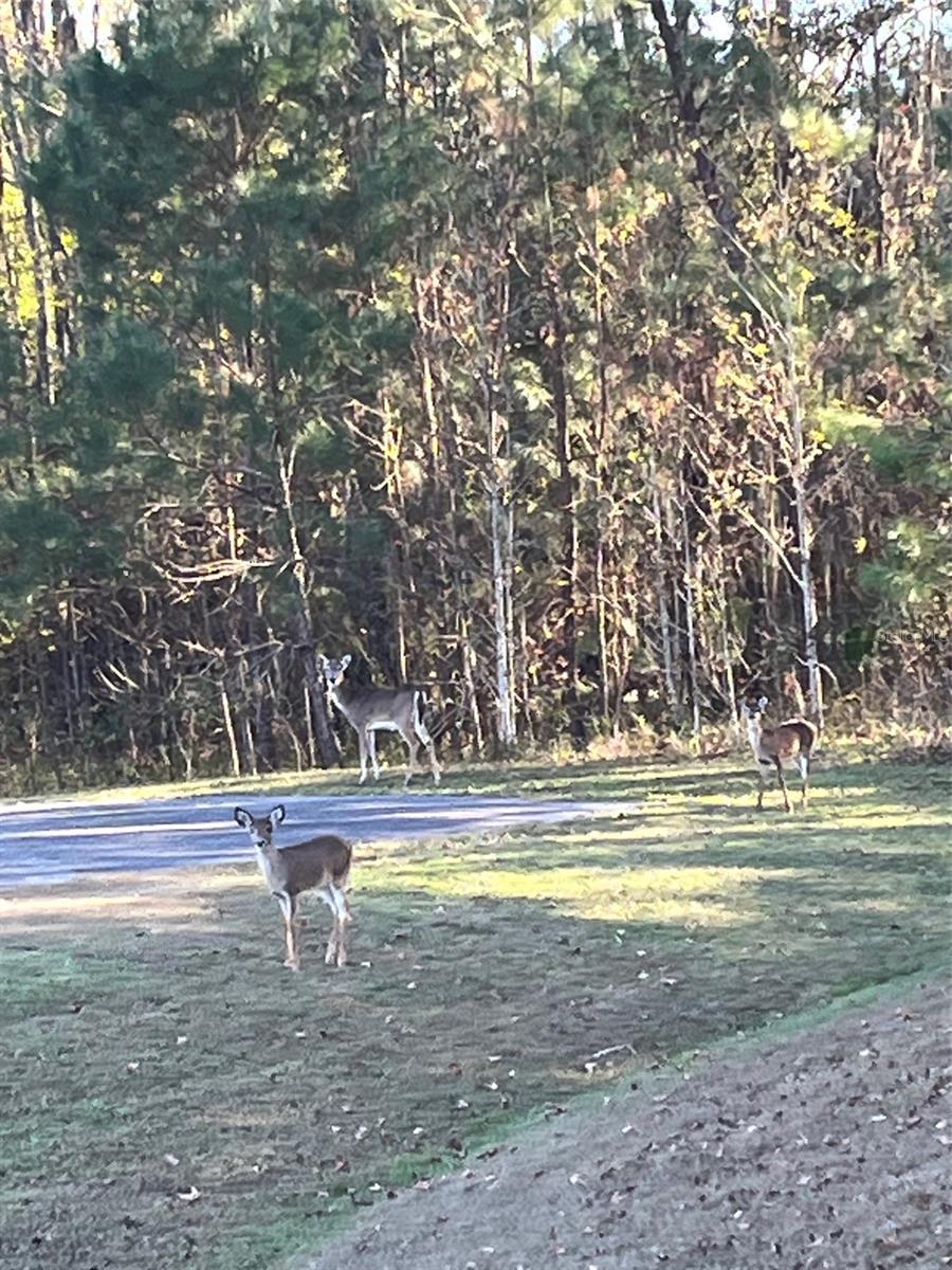 THE VILLAGE AT HIDDEN LAKES - Land