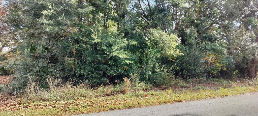 Photo of 973 N Maynard Avenue, Lecanto, FL 34461 (MLS # TB8330446)