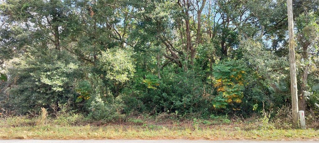 Photo of 973 N Maynard Avenue, Lecanto, FL 34461 (MLS # TB8330446)