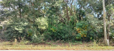 973 N MAYNARD AVENUE LECANTO FL 34461