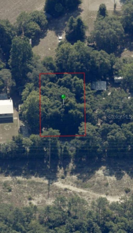 973 N MAYNARD AVENUE