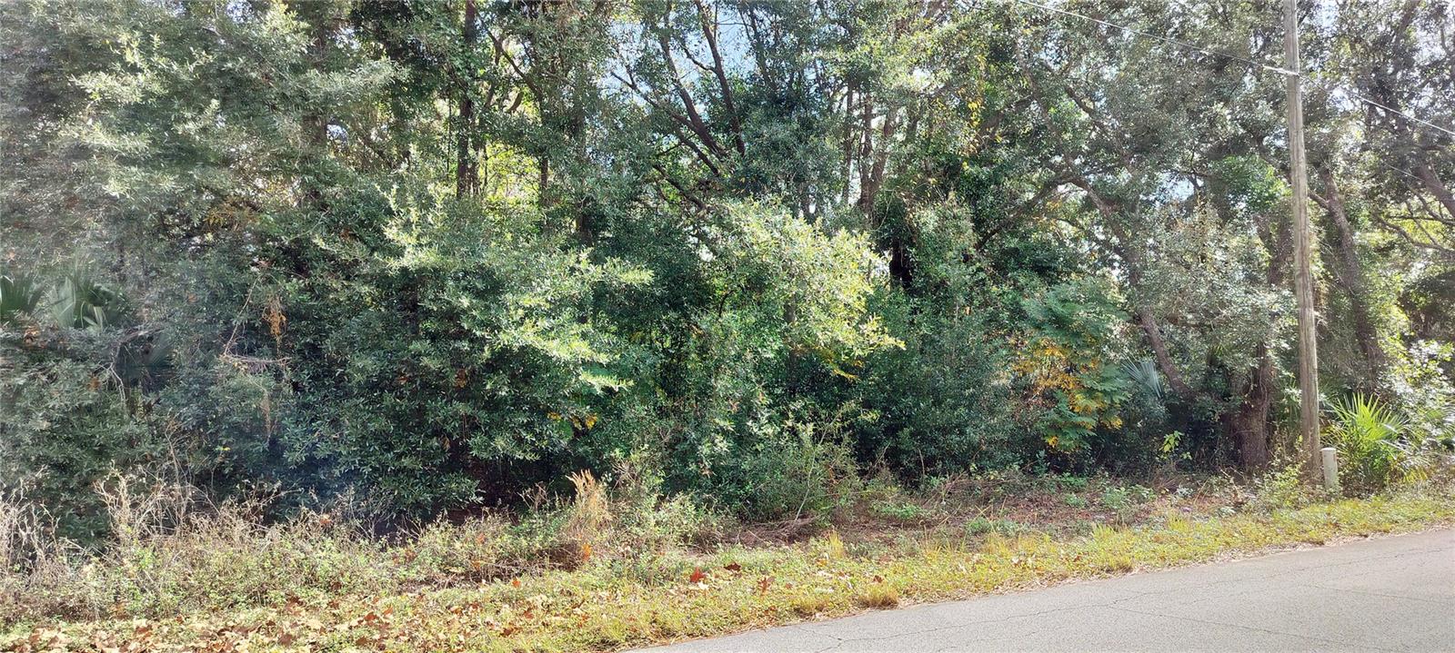 973 N MAYNARD AVENUE