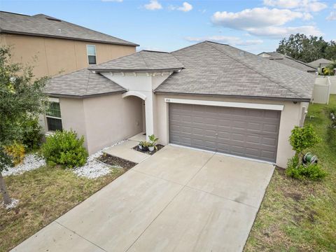 Photo of 1816 Moon Cactus Ct, Ruskin, FL 33570 (MLS # TB8435645)