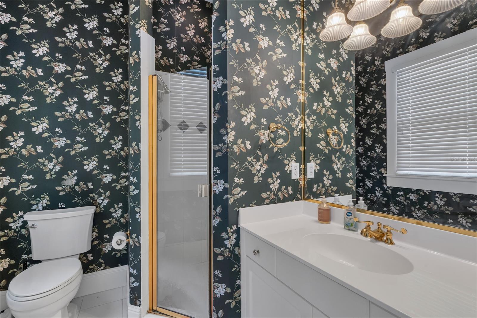 CELEBRATION VILLAGE UNIT 2 - Residential