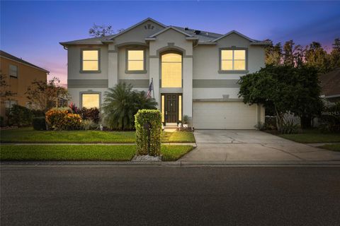 3243 ASHMONTE DRIVE LAND O LAKES FL 34638