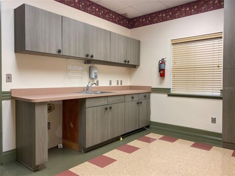 Tiny photo for 8489 SE 165th Mulberry Lane, The Villages, FL 32162 (MLS # G5085332)