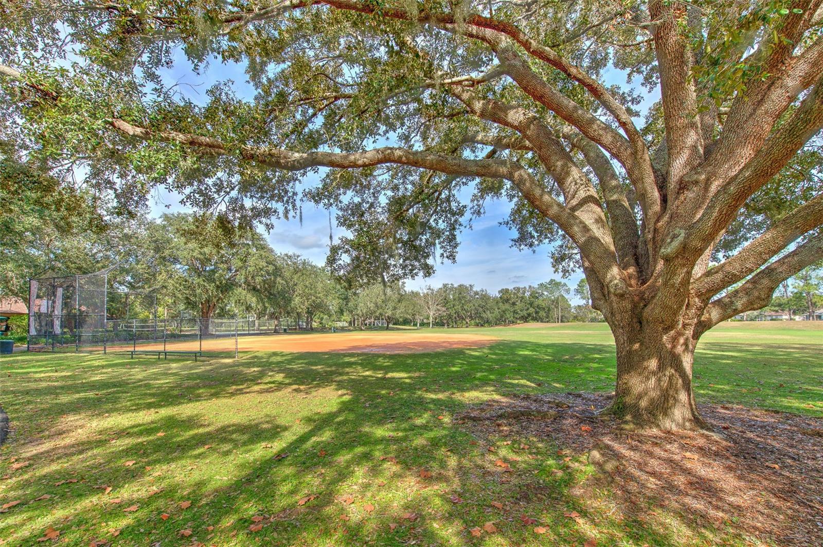 HUNTERS GREEN PRCL 17B PHAS - Residential