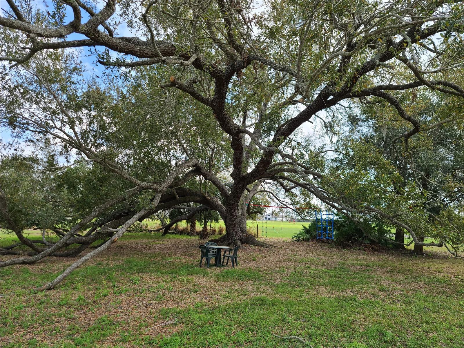 KISSIMMEE PARK - Land