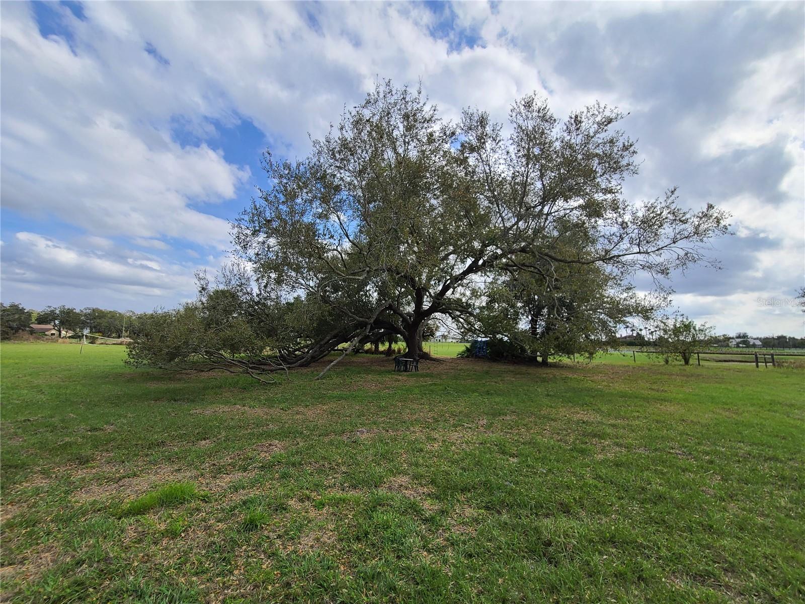 KISSIMMEE PARK - Land
