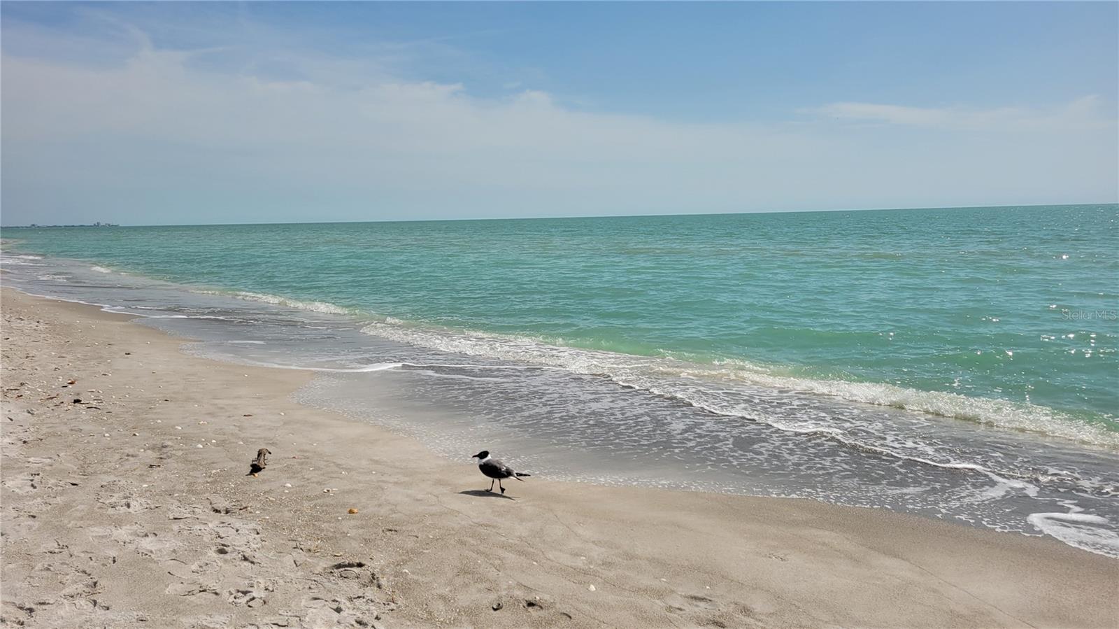 HARBOUR OAKS 2 - Residential Lease