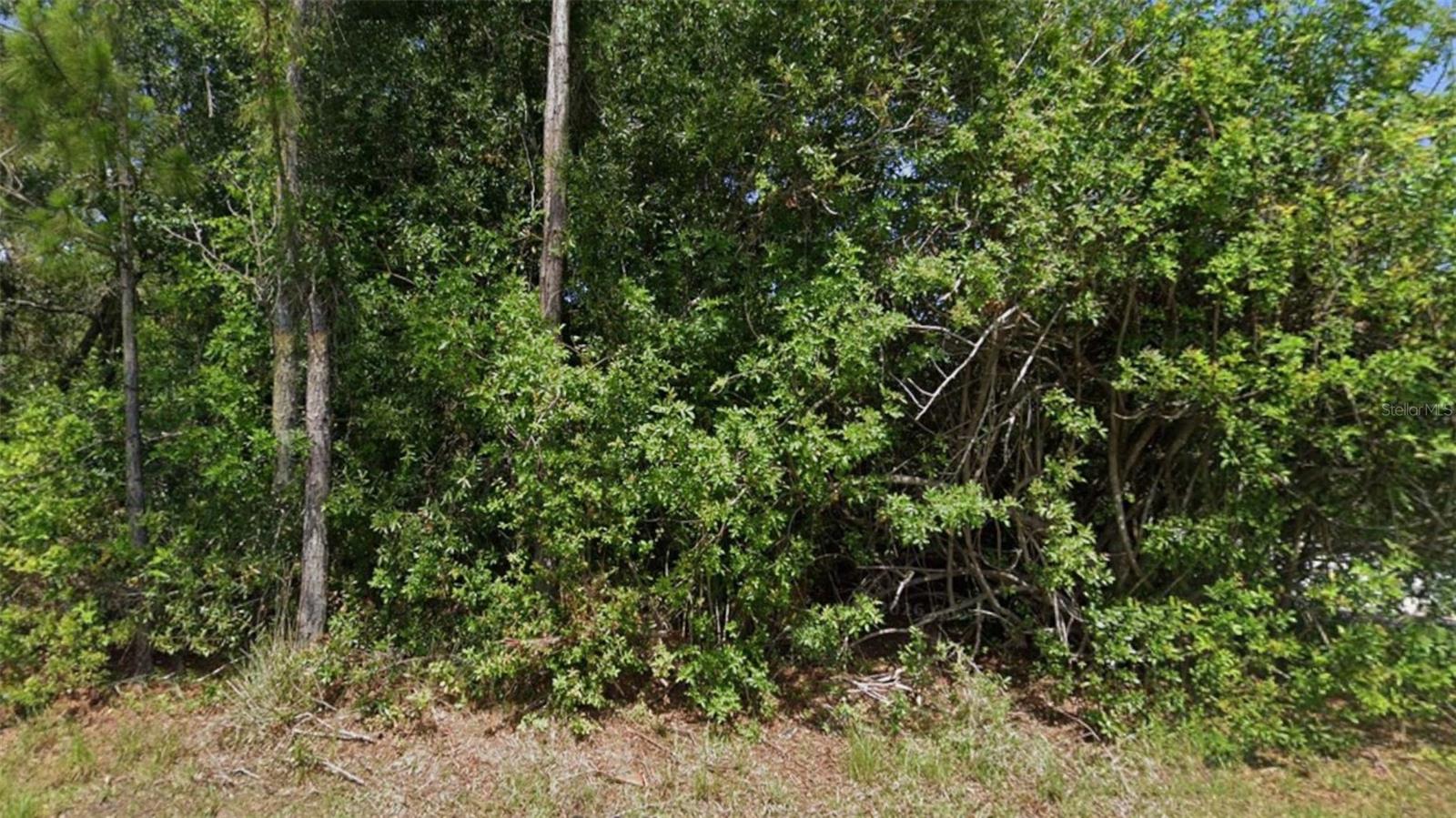 348 ORLANDO BOULEVARD