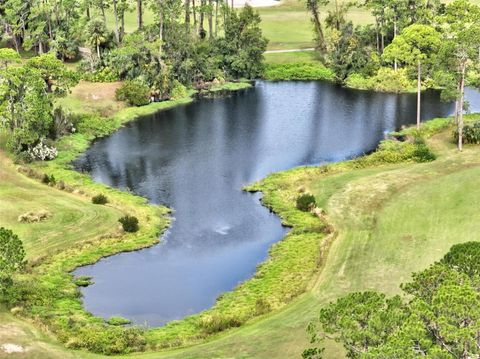 A home in PALM COAST