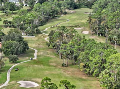 A home in PALM COAST