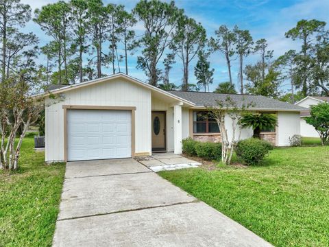 A home in PALM COAST