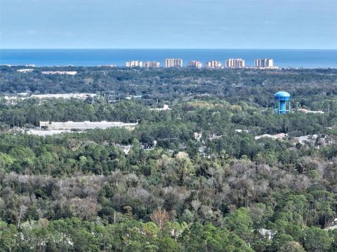 A home in PALM COAST