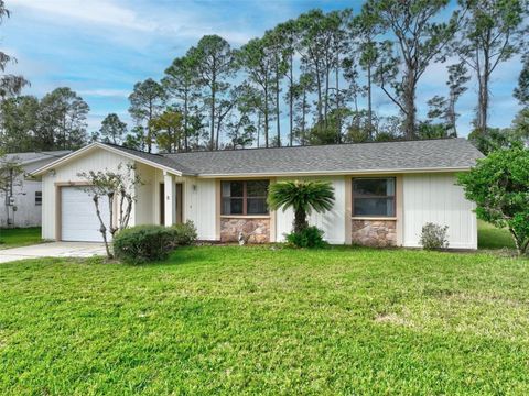 A home in PALM COAST