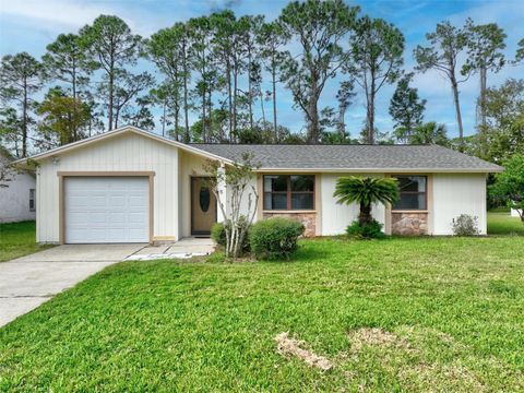 A home in PALM COAST