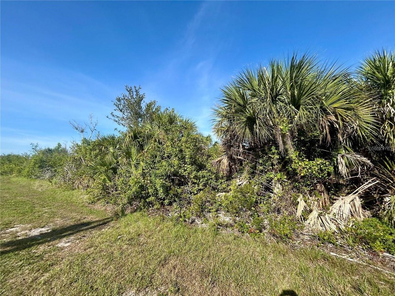 Build Your Dream Home in Paradise – 10047 Alvarez St, Port Charlotte, FL
Welcome to South Gulf Cove, one of Southwest Florida’s most sought-after waterfront communities! This oversized vacant lot is perfectly situated on a quiet street, offering the ideal canvas to build your dream home in a growing, deed-restricted neighborhood surrounded by beautiful custom homes.
With public water, sewer, and power available, and no scrub jay permit required (check with county), this lot is ready for development. Enjoy easy access to the community boat ramp, parks, walking paths, and over 55 miles of navigable canals leading out to Charlotte Harbor and the Gulf of Mexico—perfect for boaters and outdoor enthusiasts!
This location combines tranquility and convenience—just minutes from Boca Grande, Englewood Beach, world-class fishing, golf courses, restaurants, shopping, and top-rated medical facilities. No mandatory HOA fees, but South Gulf Cove offers a voluntary membership with access to community events and amenities.
Whether you're looking to build now or invest for the future, this lot offers exceptional value in a fast-growing coastal community.