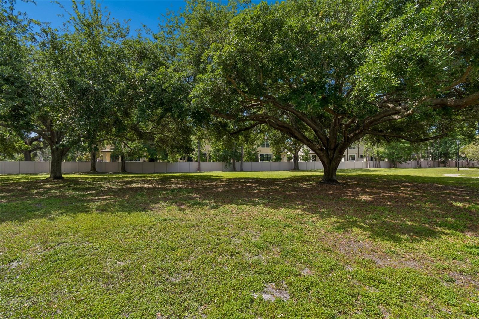 LAKE CHASE CONDO - Residential