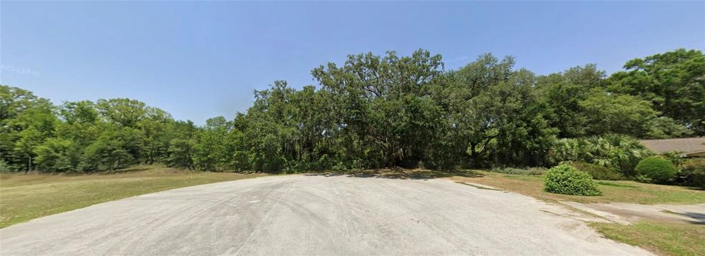 Photo of SE 97th Court, Summerfield, FL 34491 (MLS # OM714505)