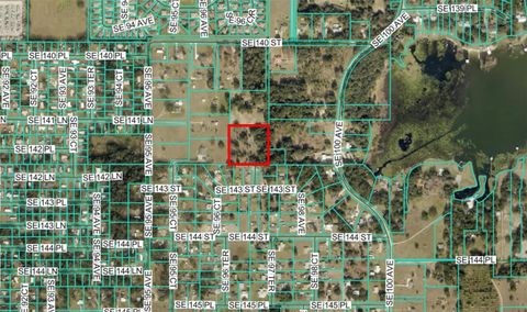 SE 97TH COURT SUMMERFIELD FL 34491