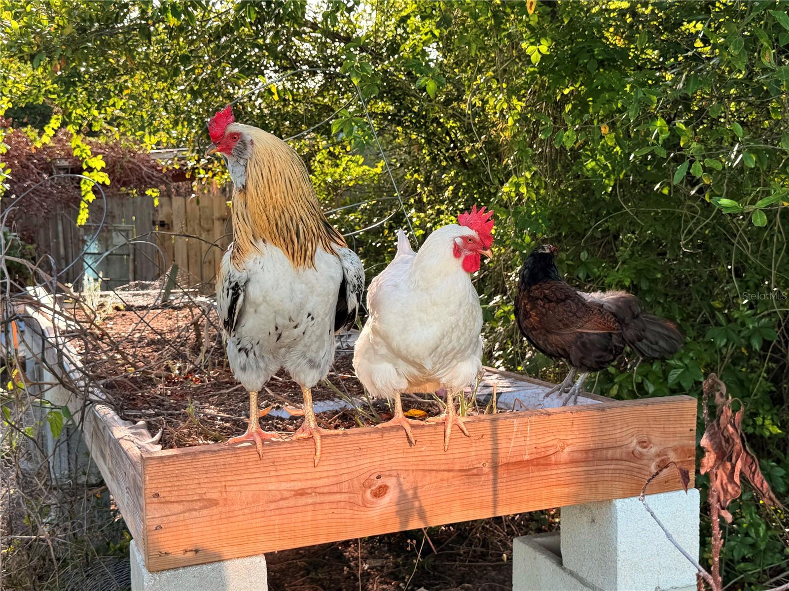 MC NEILS ORANGE VILLA - Residential