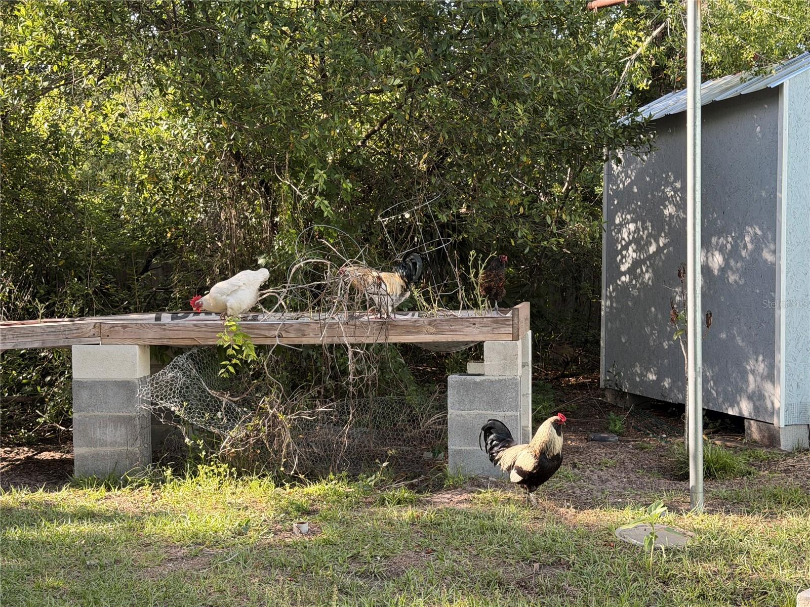 MC NEILS ORANGE VILLA - Residential