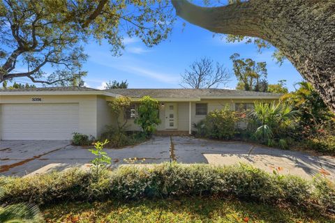 Photo of 3391 Walnut Street NE, St Petersburg, FL 33704 (MLS # TB8477268)