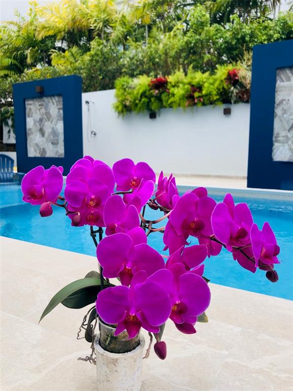 PASEO LAS PALMAS INC - Residential