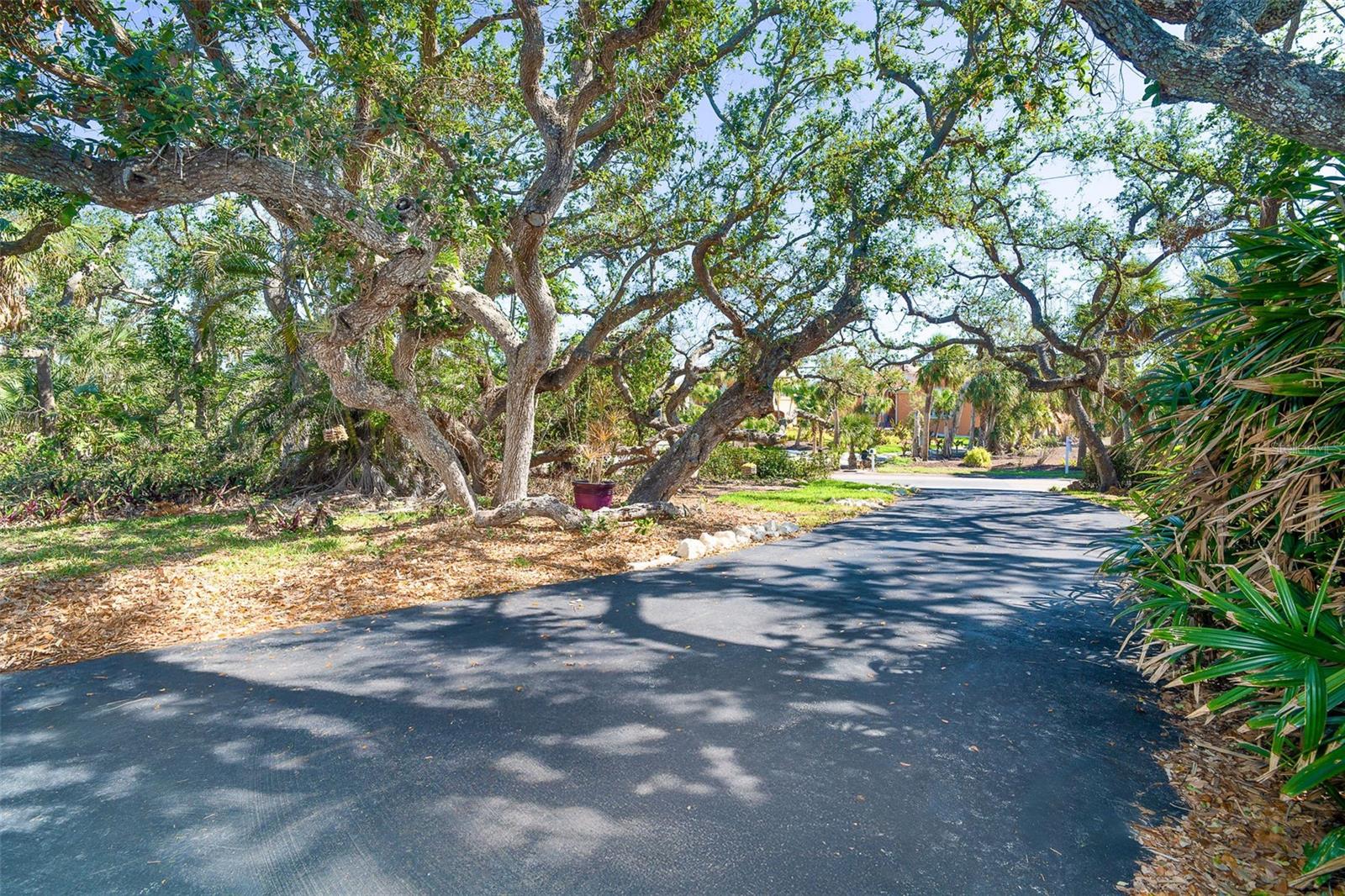 MANASOTA KEY - Residential