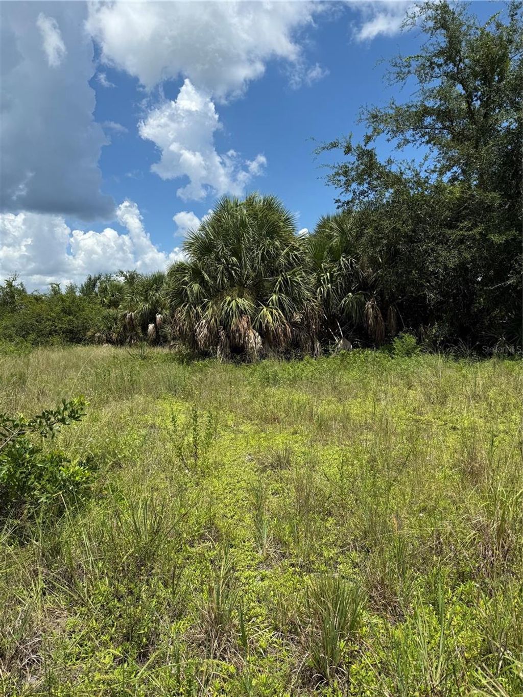 Photo of 14194 Barnwood Lane, Port Charlotte, FL 33981 (MLS # D6143521)