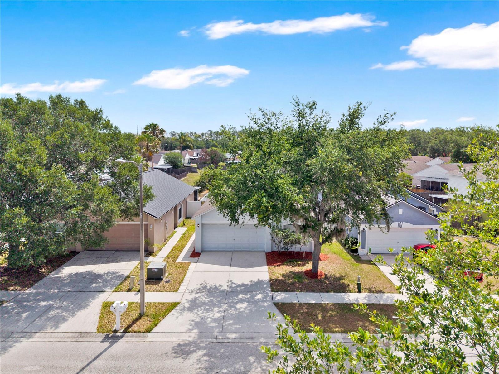 PINE RIDGE - Residential