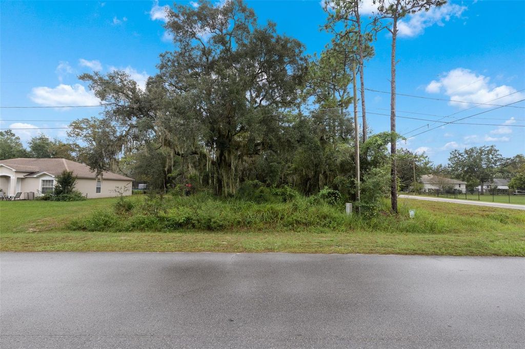 Photo of Lot 10 Trace, Ocala, FL 34472 (MLS # TB8434607)
