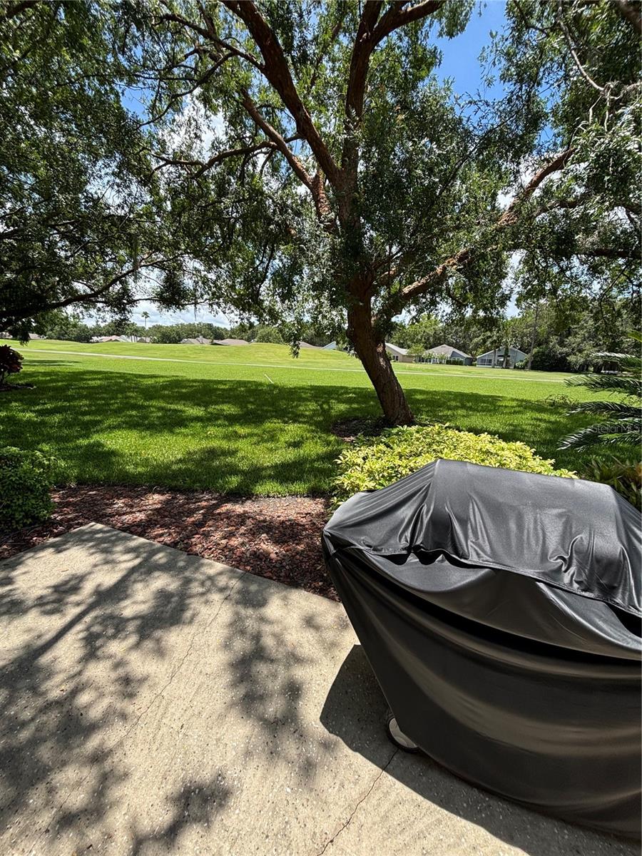 MOUNT DORA COUNTRY CLUB MOUNT DORA PH 02-1 - Residential Lease