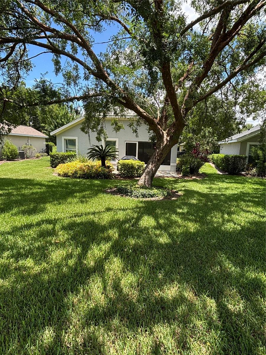MOUNT DORA COUNTRY CLUB MOUNT DORA PH 02-1 - Residential Lease