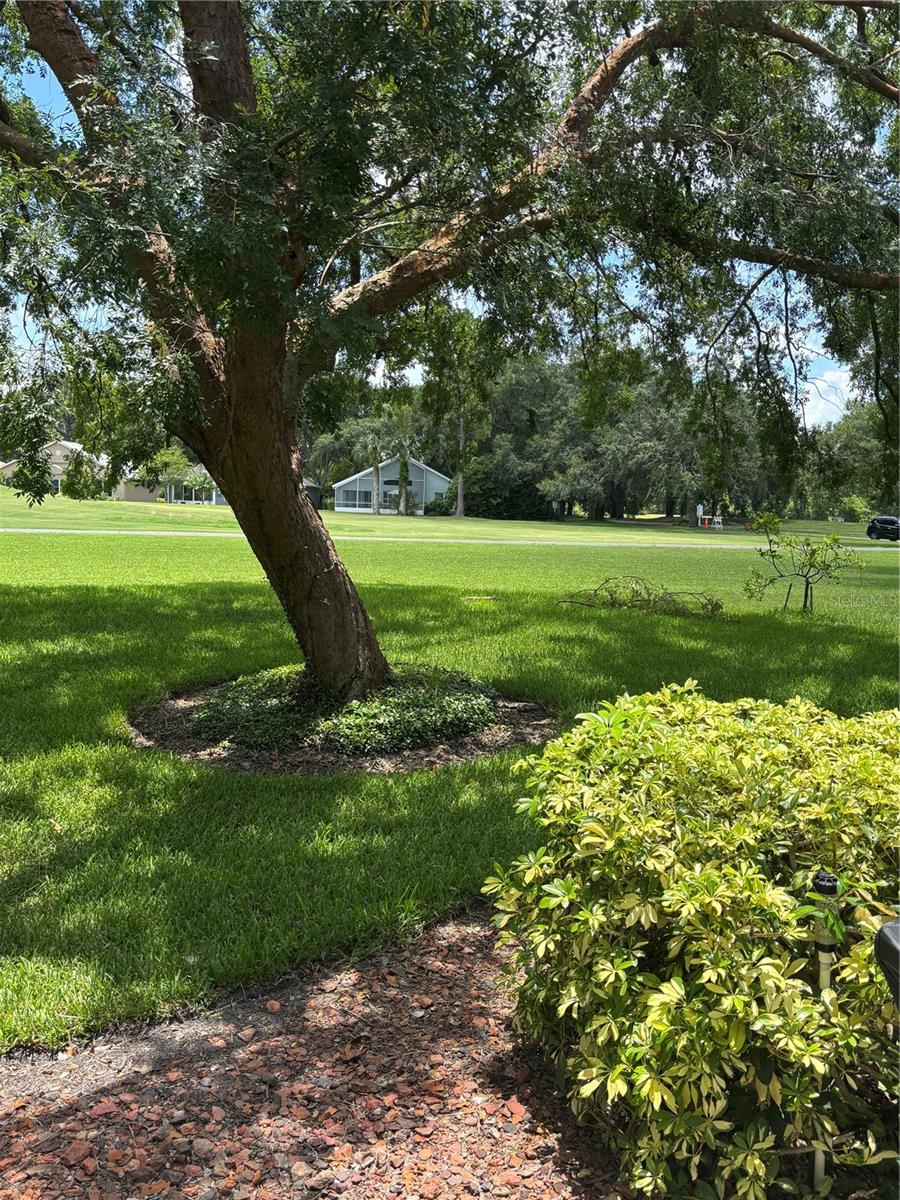 MOUNT DORA COUNTRY CLUB MOUNT DORA PH 02-1 - Residential Lease